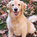 Kathy McCurdy Thomas - @duffer20002000 - Instagram