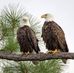Kathy McDuffie - Facebook
