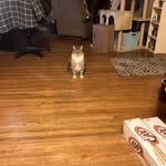 Kathy Mcghee - @kmmcghee - Instagram