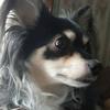 Kathy McGhee - @kathymcghee58 - TikTok