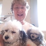 Kathy McGrath - @kathymcgrath42 - Instagram