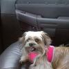 Kathy Mcgriff221 - @kathymcgriff221 - TikTok