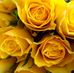 Kathy Mcintire - Facebook