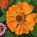 Kathy McIntire - Facebook