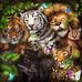 Kathy McIntosh - Facebook
