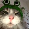 Kathryn Mckellar - @kathrynmckellar5930 - TikTok
