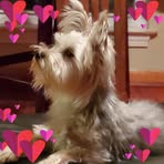 Kathy Mccarty-Richards - Facebook