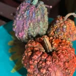 Kathy McLellan - @the.sassy.sunflower.60 - Instagram