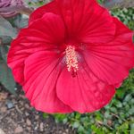 Kathy Mcmichael - @kathymc721 - Instagram