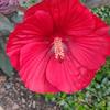 Kathy Mcmichael - @kathy.mcmichael - TikTok