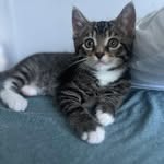 Kathy McMinn - @kathy.o.mcminn - Instagram