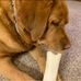 Cathy Mcnaughton - Facebook