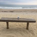 Kathy McShea - @mcsheak2018 - Instagram