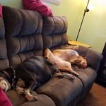 Kathy Meade - @kathole1065 - Instagram