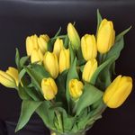 Kathy Meade - @kathy_meade - Instagram