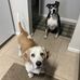 Kathy Merrick - Facebook