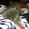 kathymerrick700 - @kathymerrick700 - TikTok