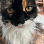 Kathy messenger - @messenger.kathy - Instagram