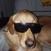 Kathy Messner - Facebook