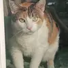 Kathi Metz - @kathi.metz - TikTok