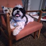 Kathy Metz - @kathymetz42 - Instagram