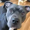 Kathy Schick Metz - @kathy.schick.metz - TikTok