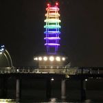 Kathy Milner - @butterfly57 - Instagram