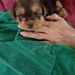 Kathy Mize - @mizekathy - Instagram