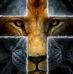 Kathy Mize - Facebook