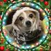 Kathy Moen - Facebook