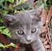 Kathy Monk - Facebook