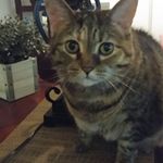 Kathy Monk - @kathy.monk.351 - Instagram