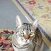 Kathy Moorhead - Facebook