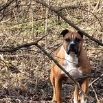 KathyandDonnie Moose - @kathy.moose - Instagram