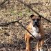 KathyandDonnie Moose - Facebook