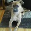 Kathy Moravec - @kathy.moravec - TikTok