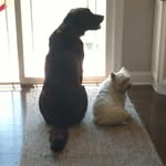 Kathy Mortimer - @kathymort01 - Instagram