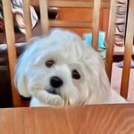 Kathy Mortimer Rick - @kathymortimerrick - Instagram