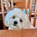 Kathy Mortimer Rick - Facebook