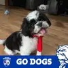 Kathy Mountain - @kathymountain63 - TikTok