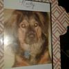 Kathy Mowery - @kathymowery - TikTok