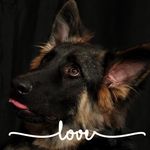 Kathy Mowery - @nana_bear2 - Instagram