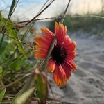 Kathy Womble Mowery - @lattedakat - Instagram