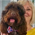 Kathy Mudge - @mudgekathy - Instagram