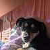 Kathy Mullis - Facebook
