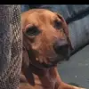 Kathy Munger - @kathy.munger - TikTok