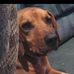 Kathy Munger - Facebook