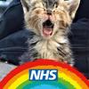Kathy Munro6045 - @kathymunro66 - TikTok