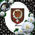 Kathy Munro - @katie.munro.313 - Instagram