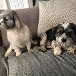 Kathy Munro - @munro_kathy - Instagram